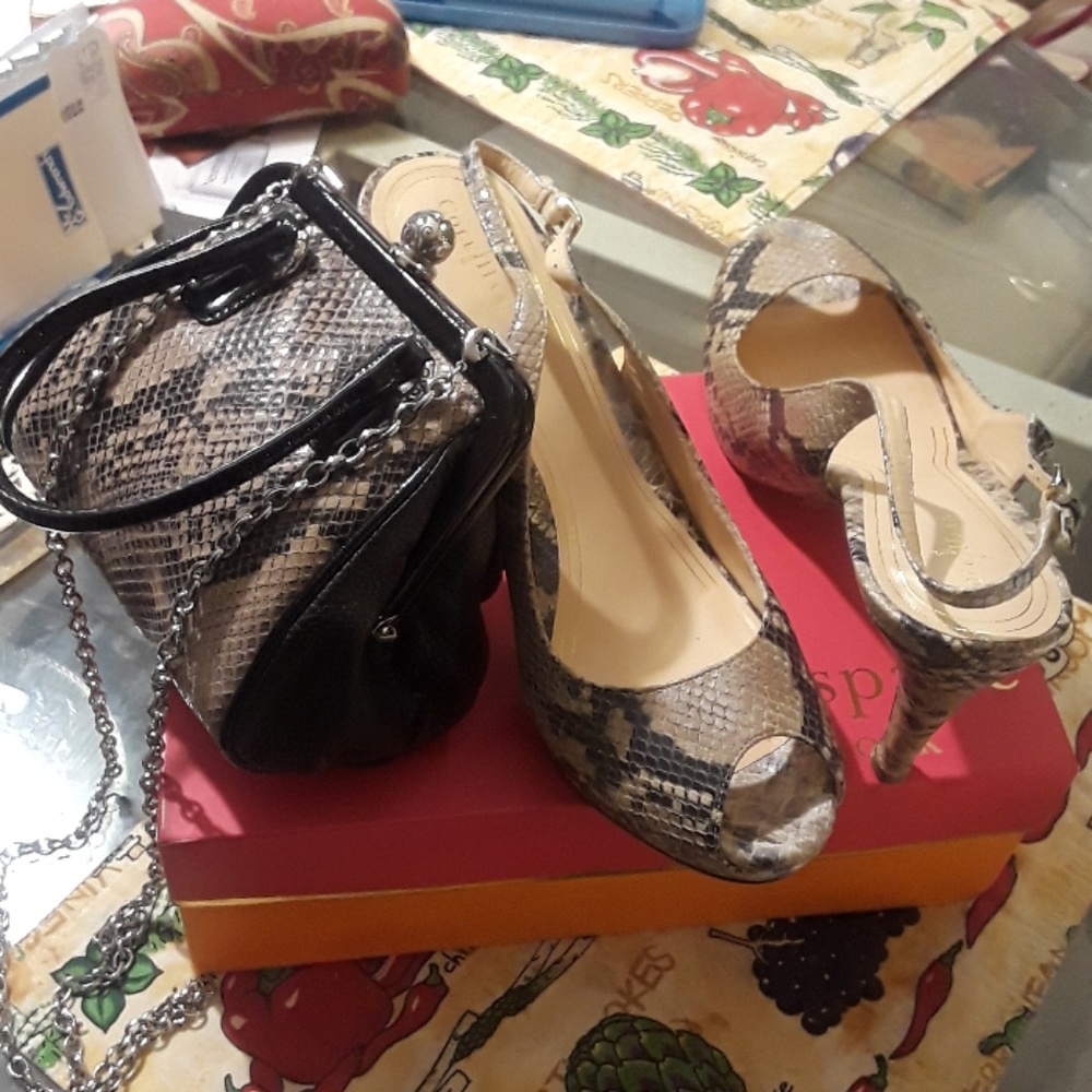 Cole Haan shoes and purse